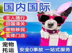 丽江机场快递国际宠物托运 【国